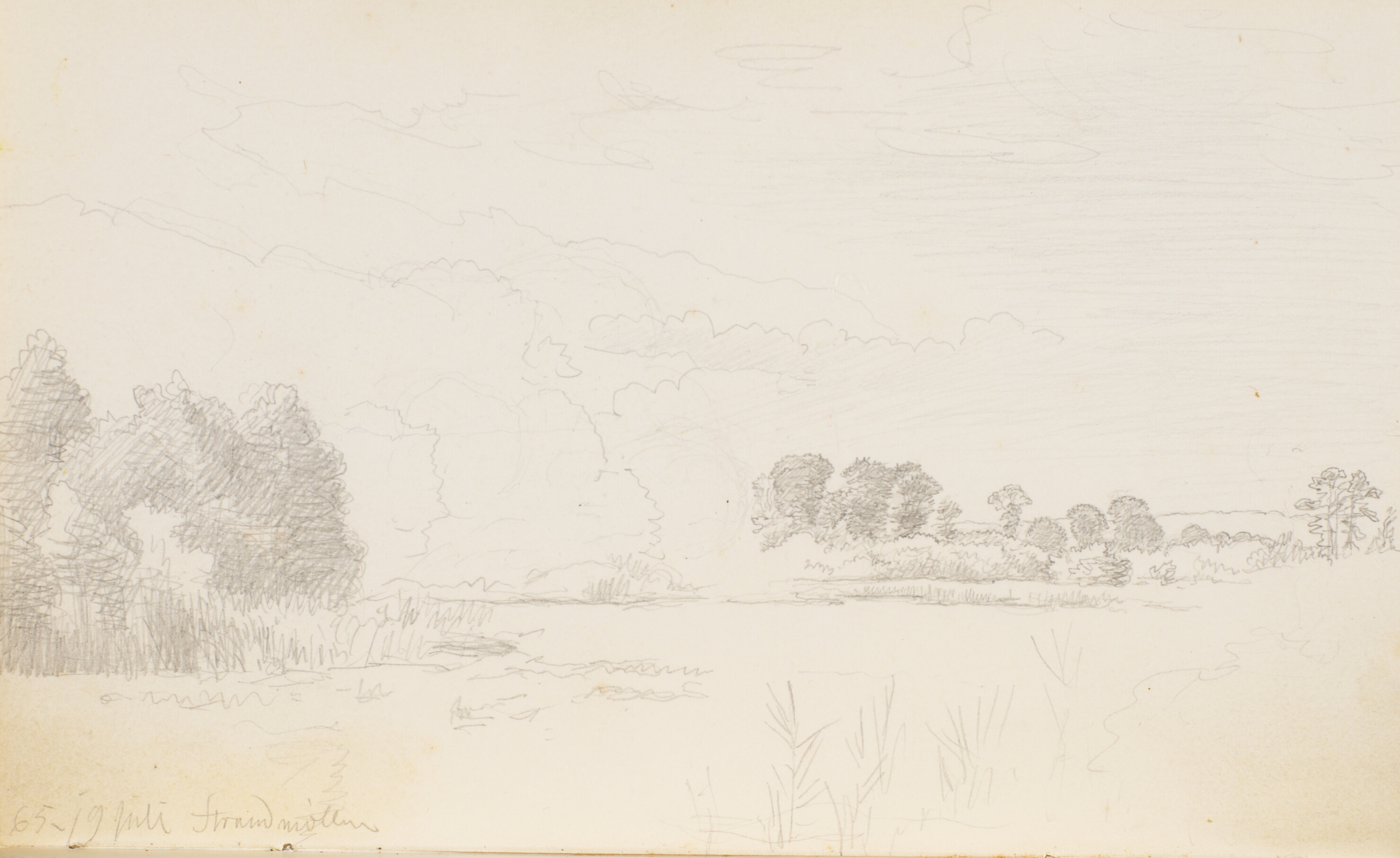 Mose med træer og buske